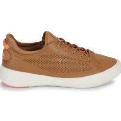 Palladium - PALLANOVA LTH