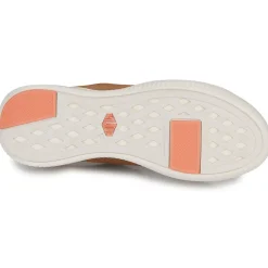 Palladium - PALLANOVA LTH