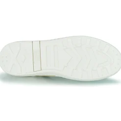 Palladium - PALLATEMPO 02 CVS