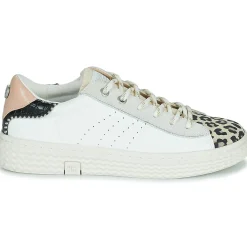 Palladium - pallatempo 02 cvs