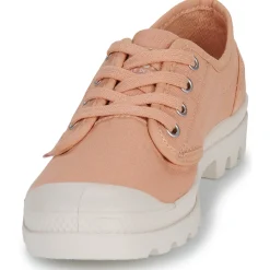 Palladium - PAMPA OX