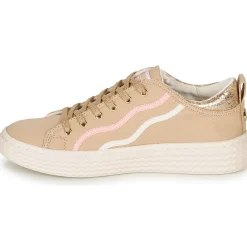 Palladium - TEMPO 02 CVS