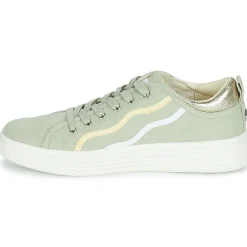 Palladium - TEMPO 02 CVS~VERVEINE~M