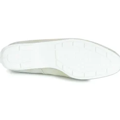 Peter Kaiser - ALJONA