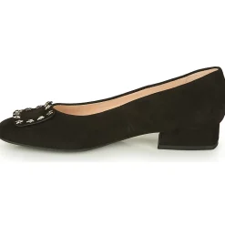 Peter Kaiser - ZWONIZ