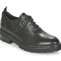 Philippe Morvan - DAILY V1 MAIA