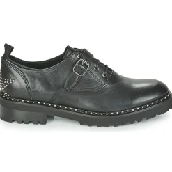 Philippe Morvan - DAILY V1 MAIA