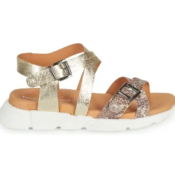 Philippe Morvan - KAKI V1