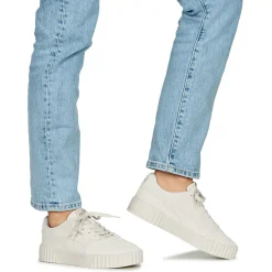 Puma - Carina 3.0 SD