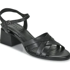 Regard - ET.EPI CRUST BLACK 2203