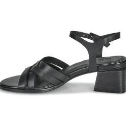 Regard - ET.EPI CRUST BLACK 2203