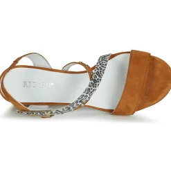 Regard - REFTA V1 ANTE CAMEL