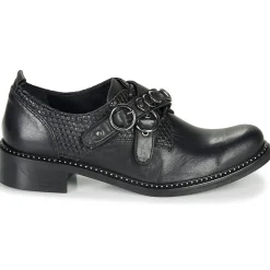 Regard - ROABAX VA MAIA