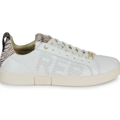 Replay - POLYS W STUDIO