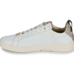 Replay - POLYS W STUDIO