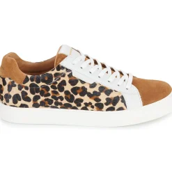 Schmoove - SPARK CLAY W