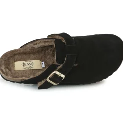 Scholl - FAE