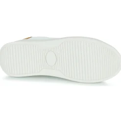 Serafini - J. CONNORS