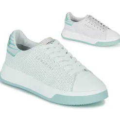 Serafini - J.CONNORS