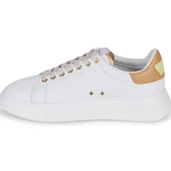 Serafini - J.CONNORS