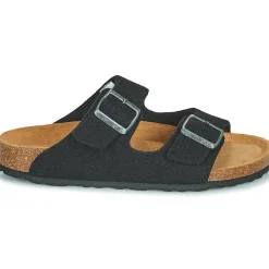 Shepherd - CASSANDRA