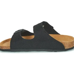 Shepherd - CASSANDRA