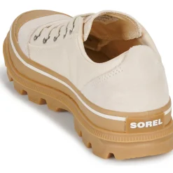 Sorel - SCOUT N ABOUT LOW SNEAKER