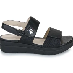 Stonefly - AQUA III 12