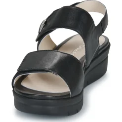 Stonefly - AQUA III 12