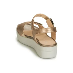 Stonefly - AQUA III 2 LAMINATED