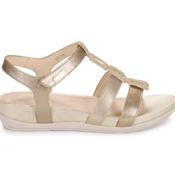 Stonefly - EVE 24 LAMINATED LTH