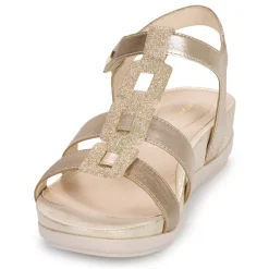 Stonefly - EVE 24 LAMINATED LTH