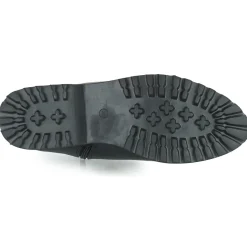 The Divine Factory - LH2274