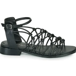 The Divine Factory - LS1793H