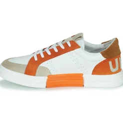 Un Matin d'Eté - BRIE