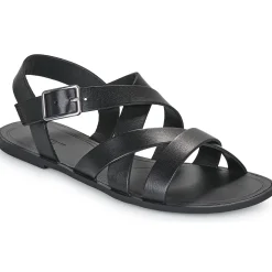 Vagabond Shoemakers - TIA 2.0