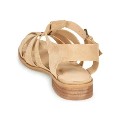 Vanessa Wu - SD2347CM