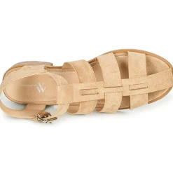 Vanessa Wu - SD2347CM