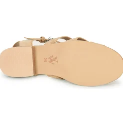 Vanessa Wu - SD2347CM