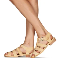 Vanessa Wu - SD2347CM