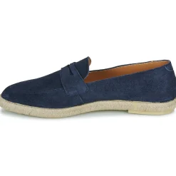 Verbenas - Kenia Serraje