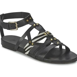 Vic - GINKO ACHANTUS