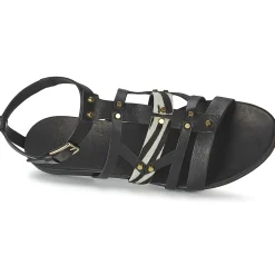 Vic - GINKO ACHANTUS