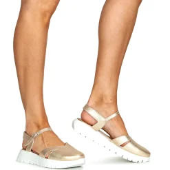 Wonders - A-2461-MAX-PLATINO