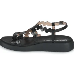 Wonders - C-6510-LACK