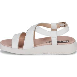 Wonders - C-6505-WILD