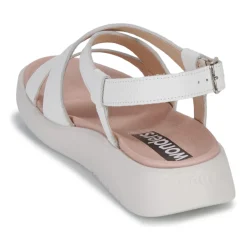 Wonders - C-6505-WILD