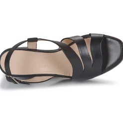 Wonders - L-1011 PERGAMENA